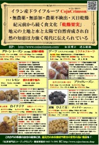 ドライフルーツ 特徴ポップ　6種類 A5 チラシ.pdf　写真JPG